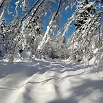 Luksusowy Z Jaskinia - Osada Jaworzyny Alpehytte Tokarnia (Lesser Poland)