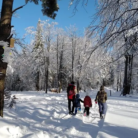 Chalet Luksusowy Z Jaskinia - Osada Jaworzyny *