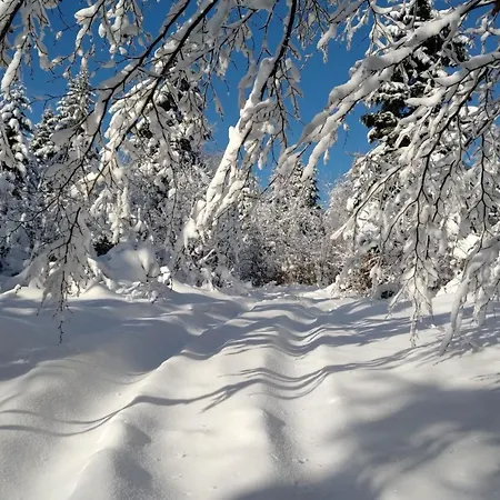 Luksusowy Z Jaskinia - Osada Jaworzyny Alpehytte Tokarnia (Lesser Poland)